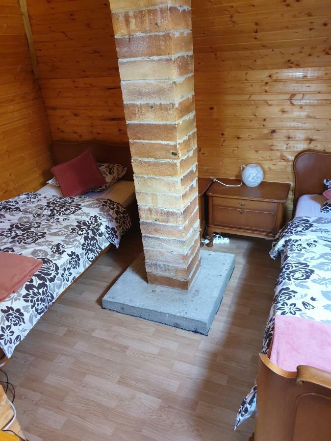 Willa Casa Ada Arpaşu de Sus Zewnętrze zdjęcie